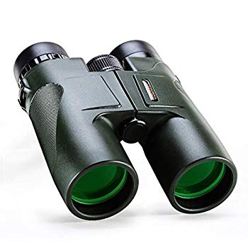 [Used] USCamelr10 X 42 Forces HD Binoculars Super wide -angle super high -high school high -high magnification Watching high -quality visual hunting concert Wild bird observation Observation Observatory Observatory Appropriation