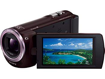 [Used] (Unused / Unopened) Sony Digital HD Video Camera Recorder "HDR-CX390" (Bordeaux Brown) HDR-CX390-T