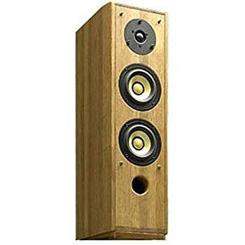 【中古】(未使用･未開封品)　Pioneer ピュアモルトスピーカー S-PM300