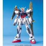 [Used] (Unused/Unopened) 1/100 Launcher Strike Gundam (Mobile Suit Gundam SEED)