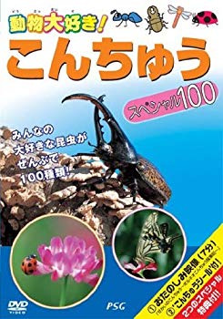 [Used] (Unused / Unopened) Konchu Special 100 [DVD]