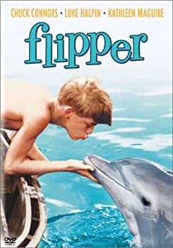 【中古】(未使用･未開封品)　フリッパー [DVD]