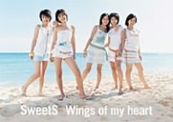 【中古】(未使用･未開封品)　Wings of my heart [DVD]