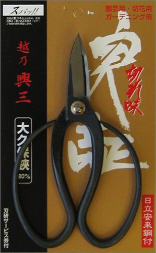 [New] Kosannuward Okubo scissors 180mm