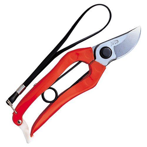 [New] Kashin pruning orange 7 (with hanging skin) BP entry 2252