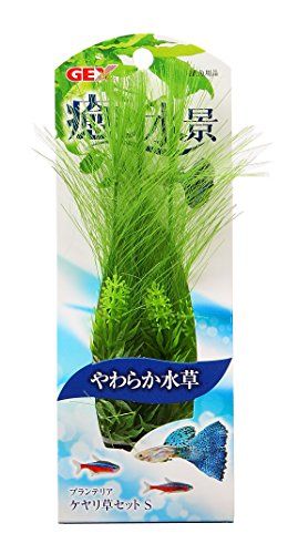 [New] Jex Planteria Kayari Grass S