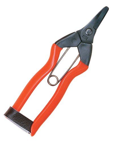 [New] Koshiji Persimmon Core Scissors S-16