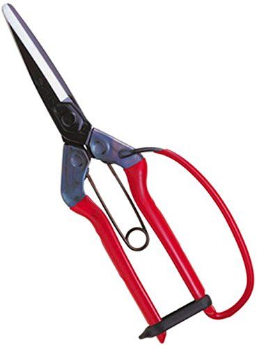 [New] Chika (CHIKAMASA) Seasonal Scissors with Tip Round Blade Sprayer Plastic Coating T-700G