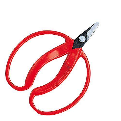 [New] Ars collection scissors pattern is large, straight blade 400-bp