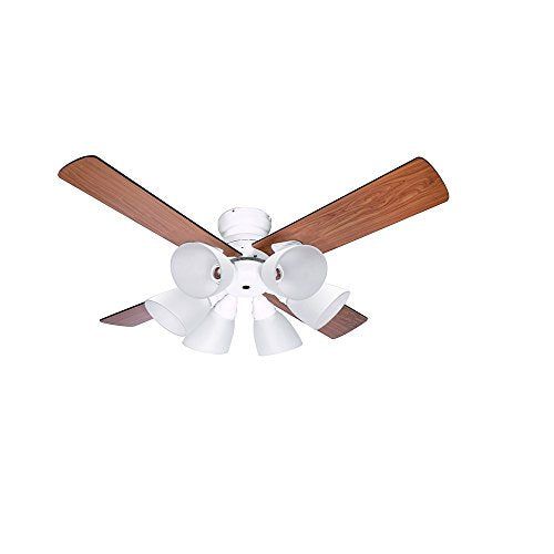 [New] Sealing fan Windowble (Windable) 6 lights white BIG-102-WH