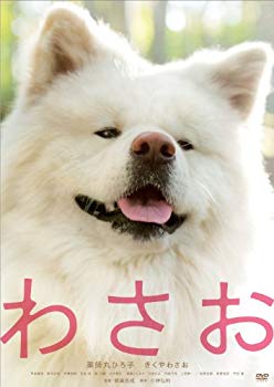 [Used] Wasao [DVD]