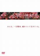 [Used] (Unused / Unopened) Nobuyukawa Nobiki Love DVD-BOX
