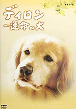 [Used] (Unused / Unopened) Diron Destiny Dog [DVD]