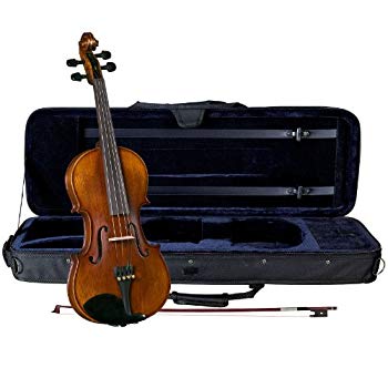[Used] (Unused/Unopened) CERVINI Bioin Set HV-700 4/4/4/4/4