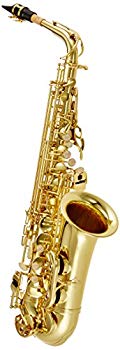 [Used] (Unused / Unopened) J Michael Alto Sax AL-500