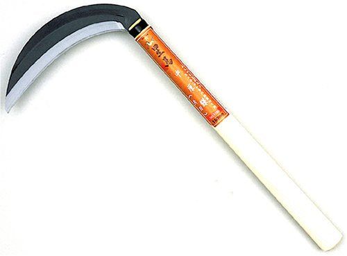 [New] Hoshima Sokan Medium -Aka Sokai Sokaden 180 Maru 1555