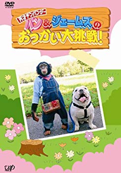 【中古】(未使用･未開封品)　パンとジェームズおつかい大挑戦 [DVD]