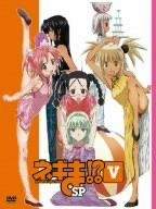 [New] Negima!? V SP [DVD]