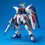 [Used] (Unused/Unopened) 1/100 Freedom Gundam (Mobile Suit Gundam SEED)