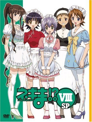 [New] Negima!? VIII SP [DVD]