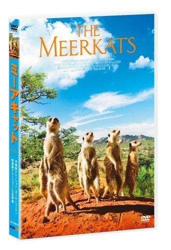 [New] Mia Cat Special Edition [DVD]