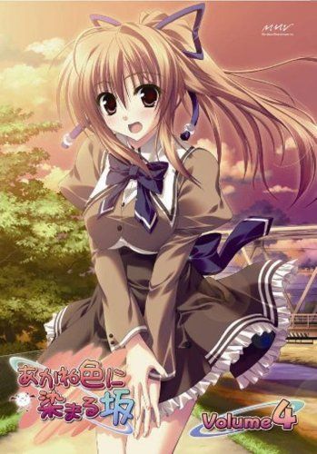 [New] Sakae Volume 4 (Limited Edition) [DVD]