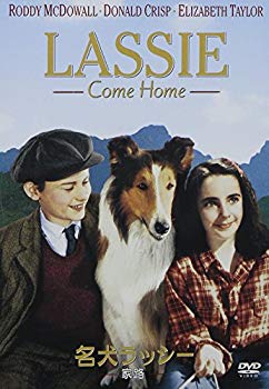 【中古】(未使用･未開封品)　名犬ラッシー / 家路 [DVD]