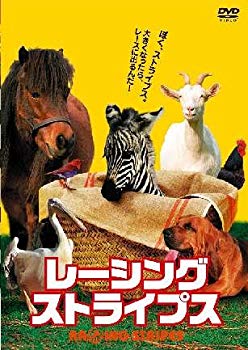 【中古】(未使用･未開封品)　レーシング・ストライプス [DVD]