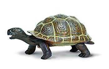 [Used] (Unused / Unopened) Safari Replica Galapagos Turtle (Child)