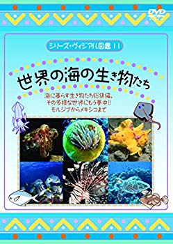 【中古】(未使用･未開封品)　世界の海の生き物たち [DVD]