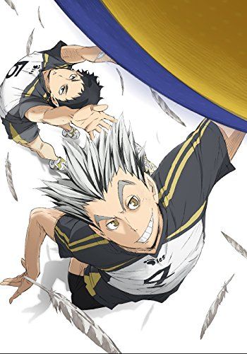 [New] Haikyu !! Second Season Vol.4 (Limited Edition) [DVD]
