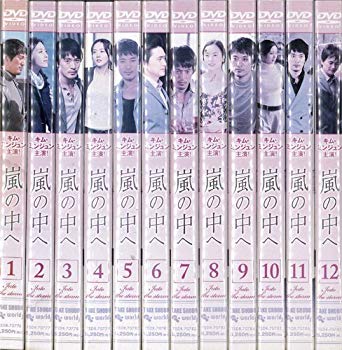 【中古】嵐の中へ 1〜12 (全12枚)(全巻セットDVD) [字幕]｜中古DVD [レンタル落ち] [DVD]