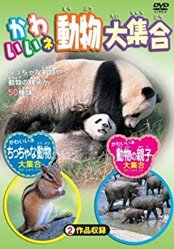 [Used] (Unused / Unopened) Cute Animal large set [DVD]