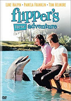 [Used] (Unused / Unopened) Good luck flipper [DVD]