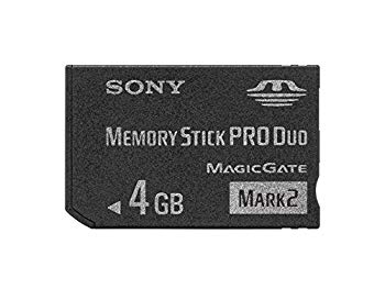 [Used] IC recording media with SONY copyright protection function "Memory Stick PRO Duo" 4GB MS-MT4G 2T