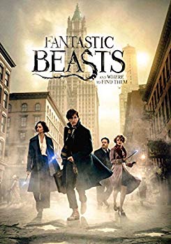 [Used] (Unused / Unopened) [With flyer, movie pamphlet] Fantastic Beast and Wizard Journey
