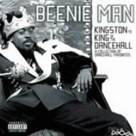 [Used] (Unused / Unopened) The Best of Bini Man ~ Kingston to King of the Dance Hall (CCCD)