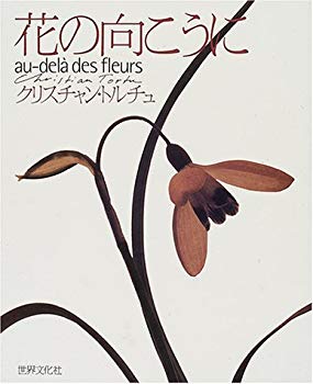 【中古】(未使用･未開封品)　花の向こうに