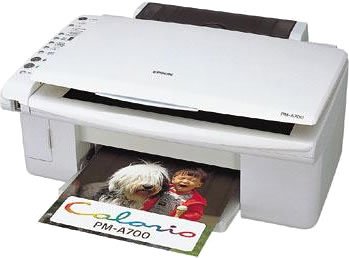 [Used] Epson Carario PM-A700