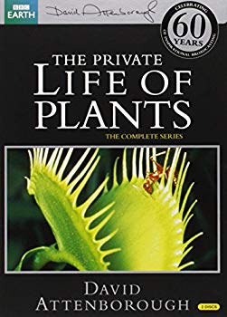 [Used] BBC The Private Life of Plants-The World of Plants-DVD-BOX (6 episodes 292 minutes) BBC EARTH Life Series [DVD] [Import] [Check the Pal playback environment