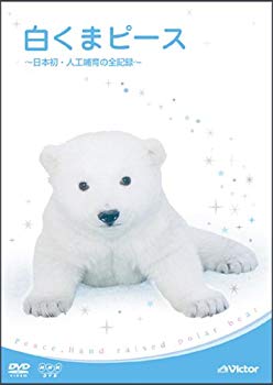 [Used] (Unused / Unopened) White Carp Piece ~ Japan&