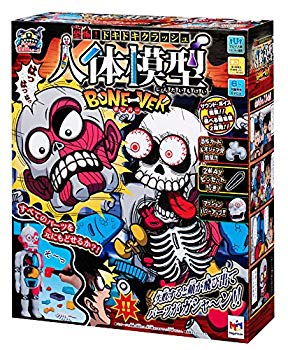 [Used] After school ghost story series fear! Pounding crash human body model Bone-ver (Bomber)