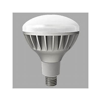 [New] Toshiba (TOSHIBA) LED bulb reflective project 19W LDR100/200V19N-H