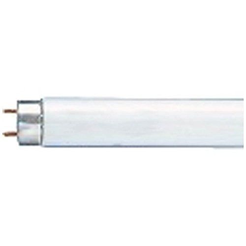 [New] Panasonic 8 -shaped straight tube fluorescent lamp / white / starter type Panasonic highlight FL8W