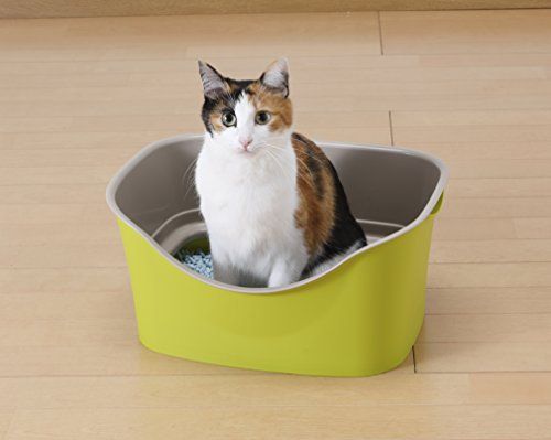 [New] Bombi Alcon (Bonbi) Easy Cat Toilet W Block Pistachio Green