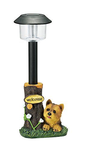 [New] H2299 with a solar light light light light light -lights with puppy