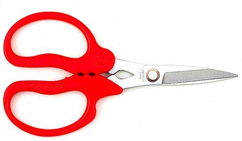 [New] Golden Star Scissors Kiri Musume Strong Type 2315