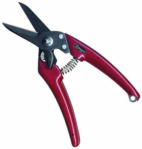 [New] Cactus Ladies pruning scissors (slim type) EX-7