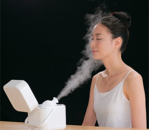 [New] Twin Bird Face Steamer White SH-2785W