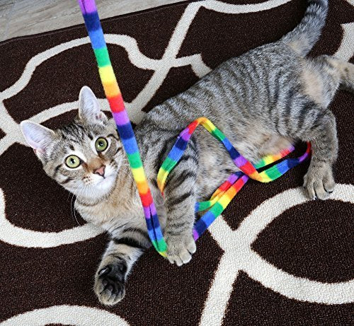 [New] Cat Danser Rainbow Cat Charmer